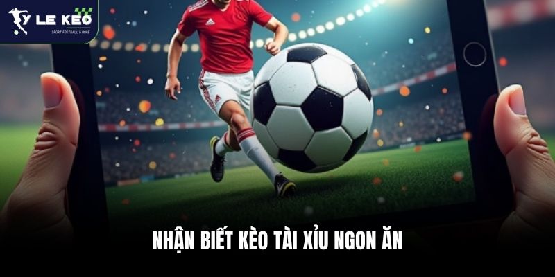 Nhận biết kèo Tài Xỉu ngon ăn