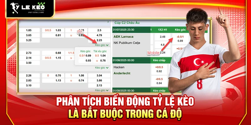 Phân tích biến động tỷ lệ kèo là bắt buộc trong cá độ